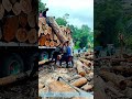 Hoisting the Harvest: The Coordinated Lift of Timber Loading