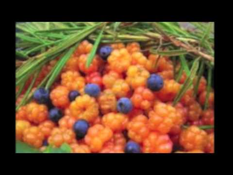 Video: Cloudberry: Gunstige Egenskaper. Kaloriinnhold I Tyttebærretter