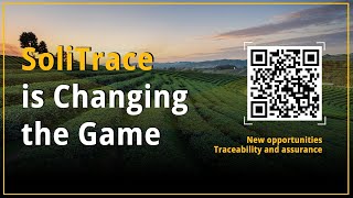 Small Tea Growers Turn to Traceability Solutions