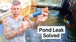 KOI POND LEAK FIXED   Drop it, Find it, Seal it, Refill the Pond & look at Koi ✅