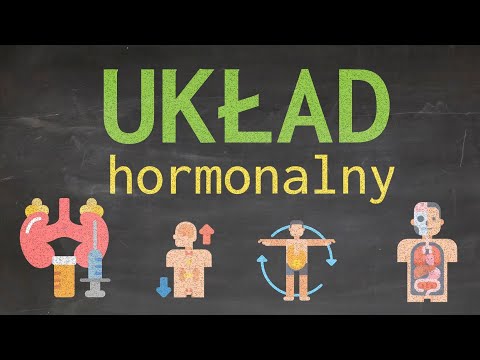 Wideo: Układ Hormonalny: Funkcja, Narządy, Hormony I Warunki