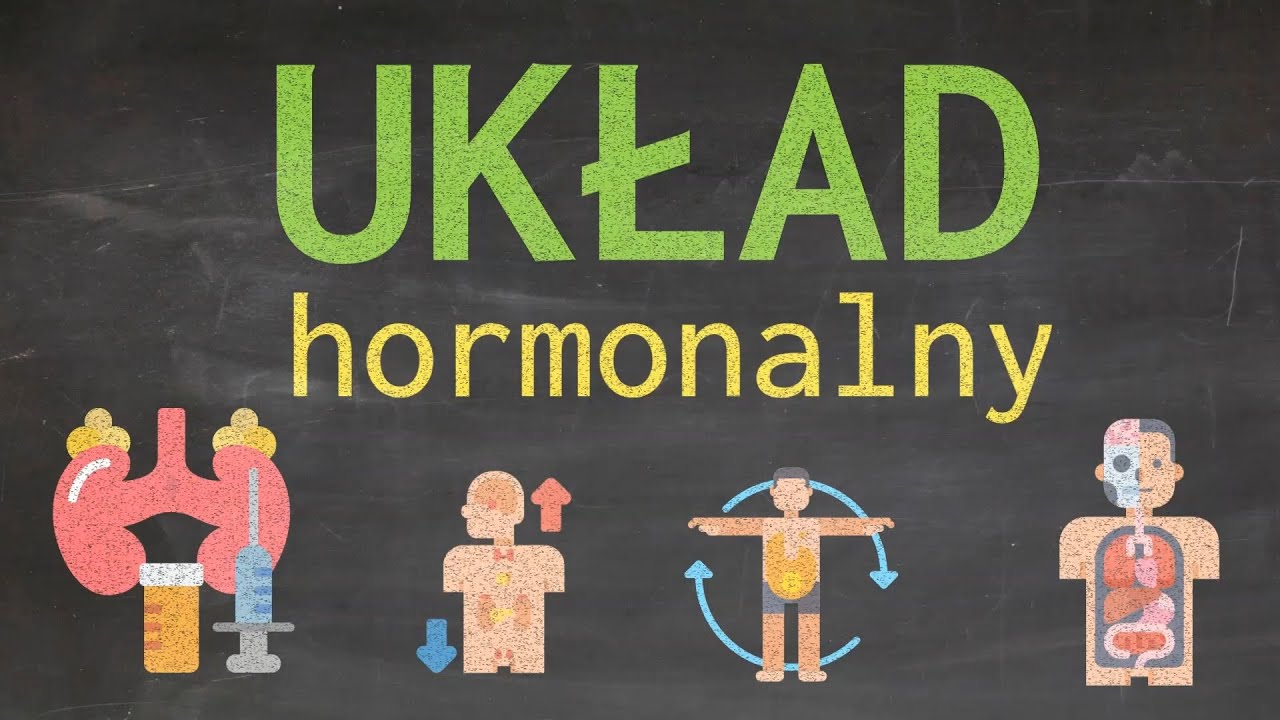Układ hormonalny, dokrewny. Gruczoły dokrewne, hormony i ich działanie oraz trochę ciekawostek