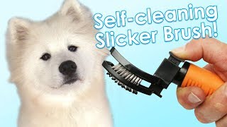 Self Cleaning Slicker Brush |  Review by Samoyed Life 31,133 views 6 years ago 5 minutes