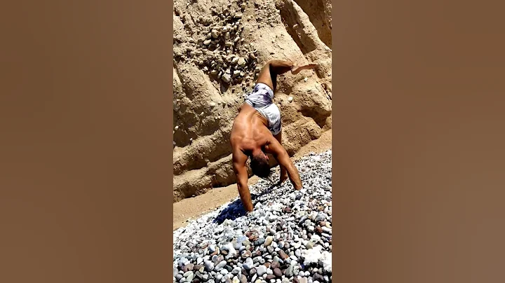 Scorpion Flip Animal Flow Primal Movement Natural Movement Mobility Training Flexibility Drills