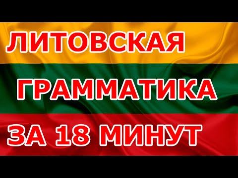 Литовская грамматика за 18 минут. Уроки литовского языка.