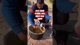 Pitbull dog Bully dog Power 💪 vs Cute Puppy 😍 Sahota Dog Farm #shorts#pitbull#bullydog