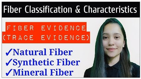 Fiber Classification || Fiber Characteristics || Fiber Evidence