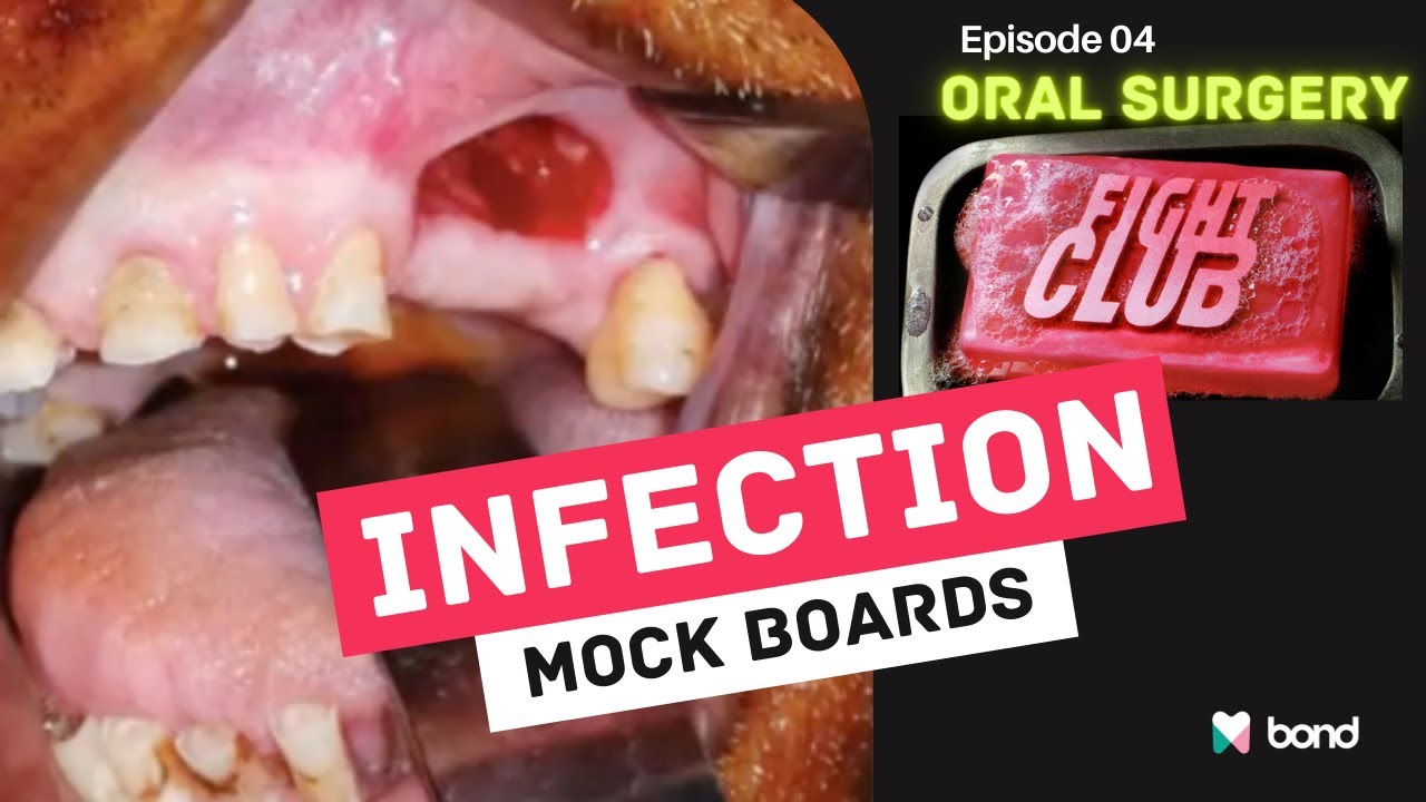 Oral Surgery Fight Club – Season 1 Episode 4 - Infection