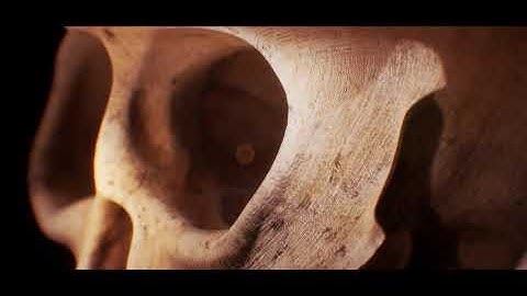 Oculus Medium Process