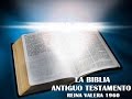 LA BIBLIA DANIEL  REINA VALERA 1960  ANTIGUO TESTAMENTO