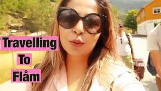 Vlog : Part 2 | Summers in Flåm, Norway | Indians in Norway