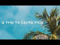 Lichu  dayfox  a trip to costa rica