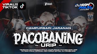 Cdanursaripacobaning Urip Satrio Aji Gumelang Feat Banteng Ngepot Remixer By Dj Sam Paijo 