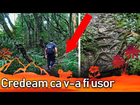 Video: Trasele pentru drumeții în Cameron Highlands