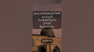 سورة التوبة الآية ٣٠ و ٣١ بصوت الشيخ محمد صديق المنشاوي