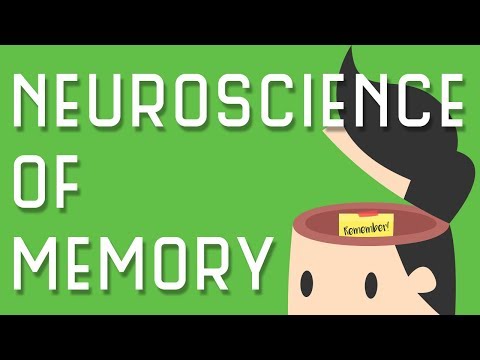 Video: Where Is Human Memory Stored? - Alternative View