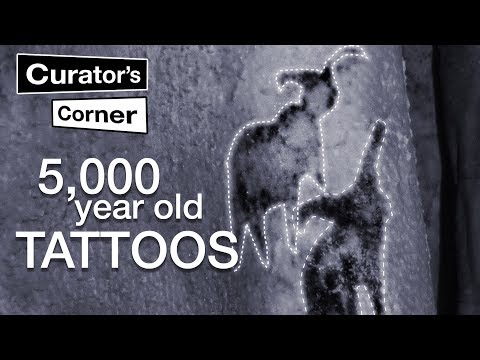 5,000-year-old tattoos from Ancient Egypt I Curator's Corner S3 Ep 6 #CuratorsCorner