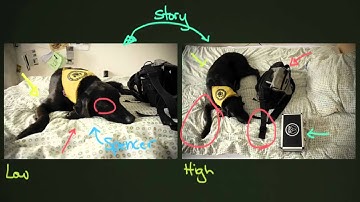 Composition: Camera Angles and Viewpoint