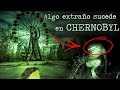 Extraños seres viven en Chernobyl ¿Seres mutantes? Prypiat Paranormal