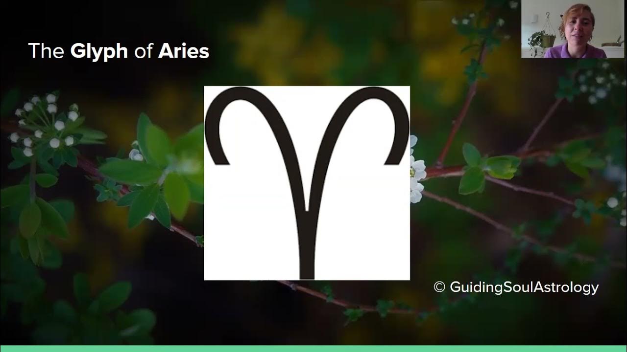 Aries -- The Signs, Lesson 2 -- Introduction to Astrology - YouTube