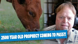 Red Heifer Discussion with Byron Stinson