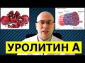 Замедляем старение: укрепляем мышцы гранатовым соком