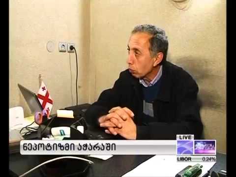 ქოციშვილებმა მთავრობაში ნათესავები მოიყვანეს