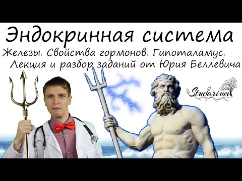 Эндокринная система. Гормоны. Гипоталамус. Болезни. Лекция и разбор заданий от Юрия Беллевича