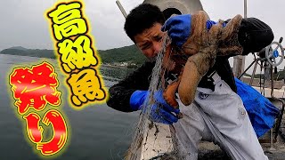 小豆島の高級魚が大漁に獲れたので市場へ出荷してみると...【金額公開】