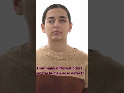 Exploring The Limitless World Of Your Nose S Odor Detecting Power English Didyouknow Quotes