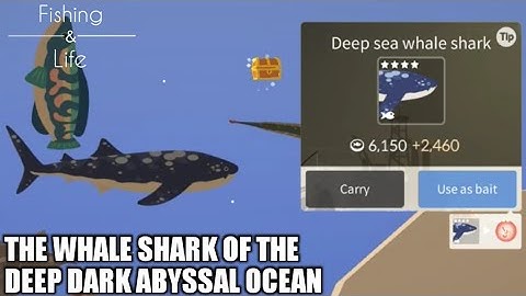 Fishing Life #18 | Catching Deep Sea Whale Shark |  4 star Special Fish