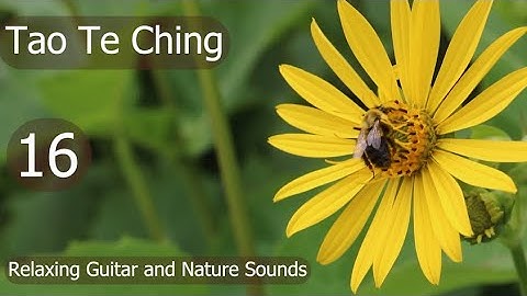 Tao Te Ching - Chapter 16 - With Relaxing Guitar and Nature