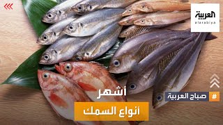 صباح العربية | تعرف على أشهر أنواع السمك !