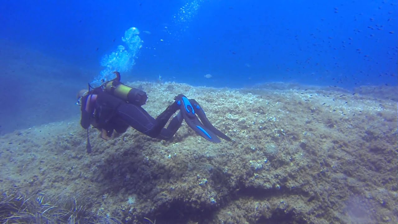 tauchen auf Mallorca - Diving with 