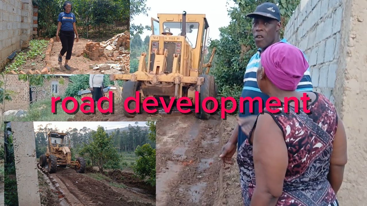 You won't believe this happening to our road/growing more good