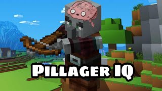 Testing Pillager's IQ level to see how smart they are. (part-1) (level easy)