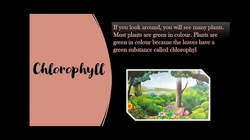 Class 4, Science, Chapter 6, Part 1 by Anubhuti Saxena