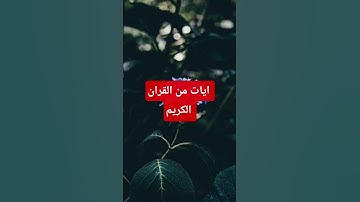 #اكسبلور #القارئ المعقلي #المصحف