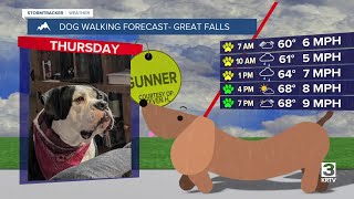 Dog-walking forecast (June 12, 2025)