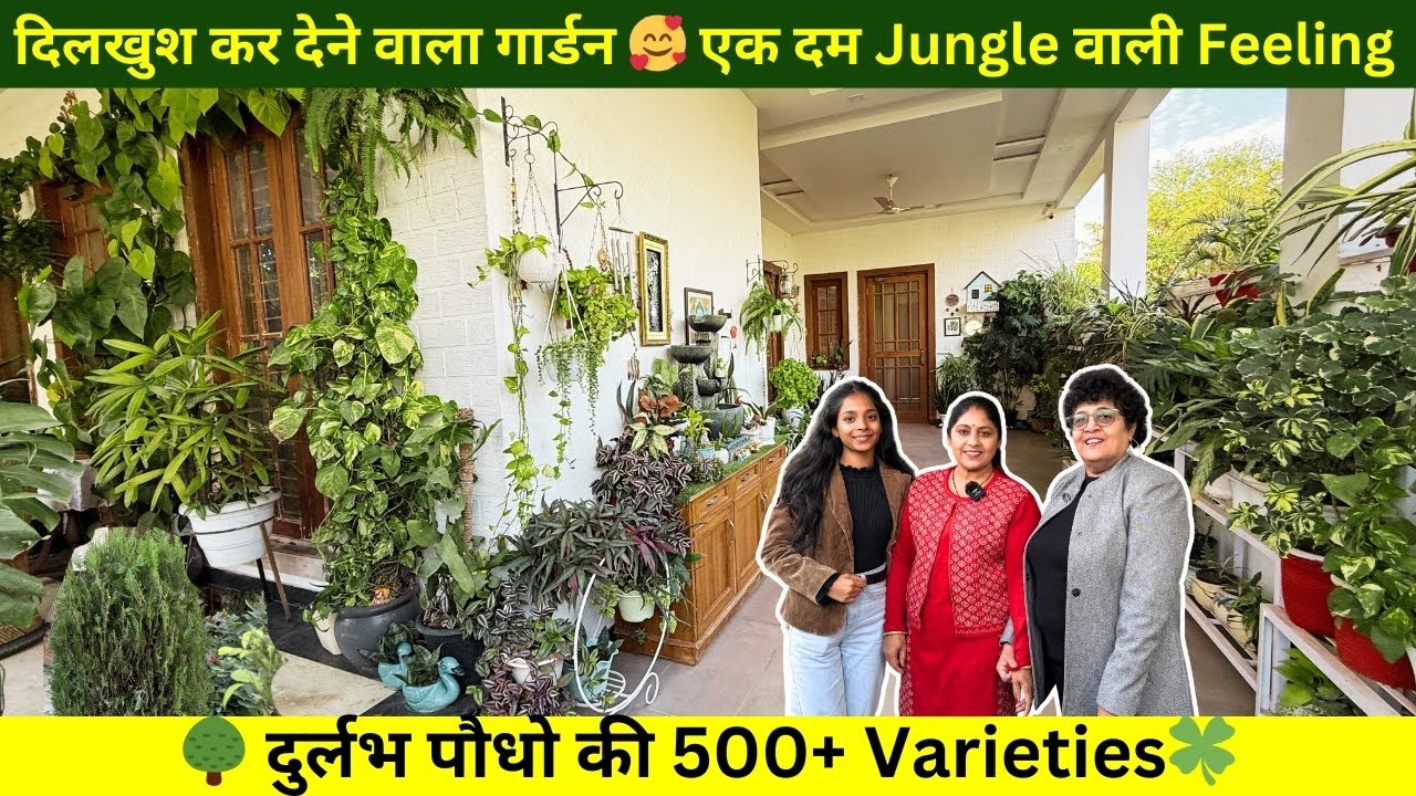 दिलखुश कर देने वाला गार्डन 🥰 एक दम Jungle वाली Feeling 🌳 दुर्लभ पौधो की 500+ Varieties🍀
