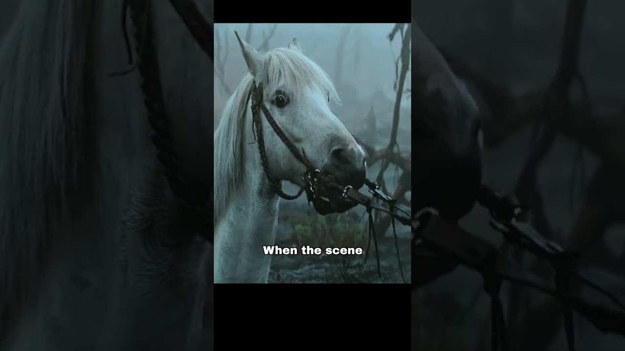 Atreyu Neverending Story Horse