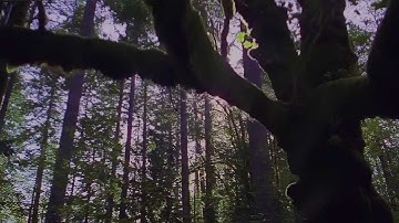 Weightless - Washed Out