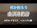 何か釣ろう　金沢沖釣行　#014 オモリグ、イカメタル編