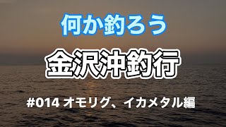 何か釣ろう　金沢沖釣行　#014 オモリグ、イカメタル編