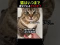 猫は飼い主を覚えている。