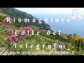 Da Riomaggiore al Colle del Telegrafo: trekking alle Cinque Terre