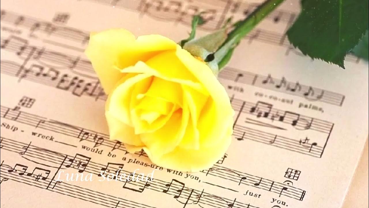 Нежная музыка для здоровья. Розы учителю музыки. Розы и Ноты. С днем учителя желтые розы. Желтые розы Ноты.