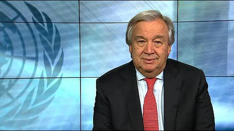 Qual a função das forças da paz da ONU?