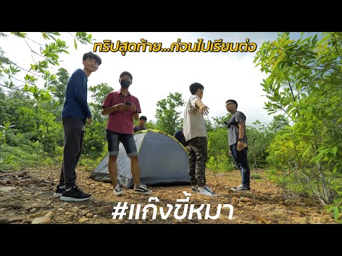 [VLOG] ทริปกางเต้นท์ของ #แก๊งขี้หมา