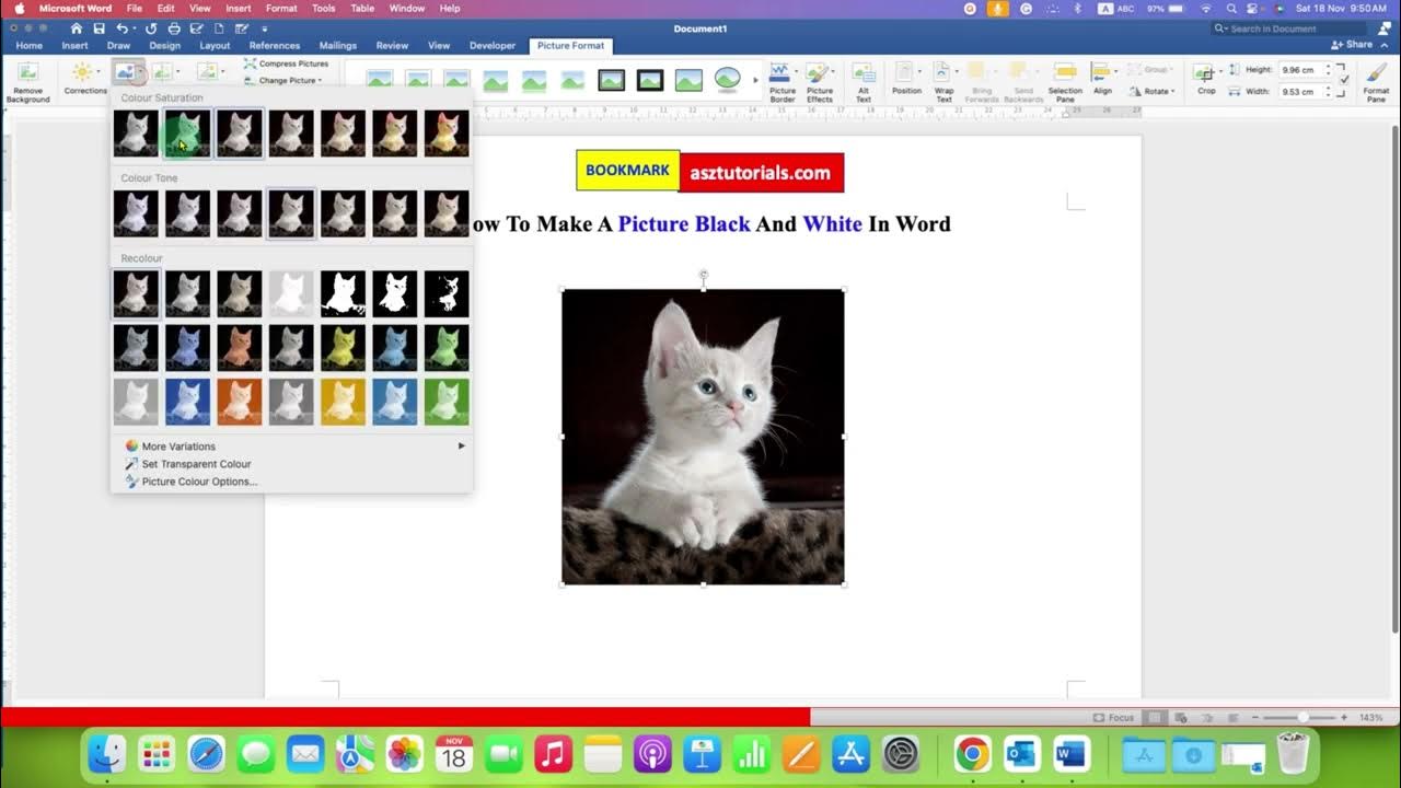 how-to-make-a-picture-black-and-white-in-word-youtube